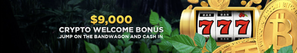 Wild Casino Crypto Bonus