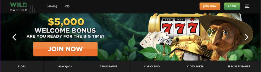 Wild Casino homepage